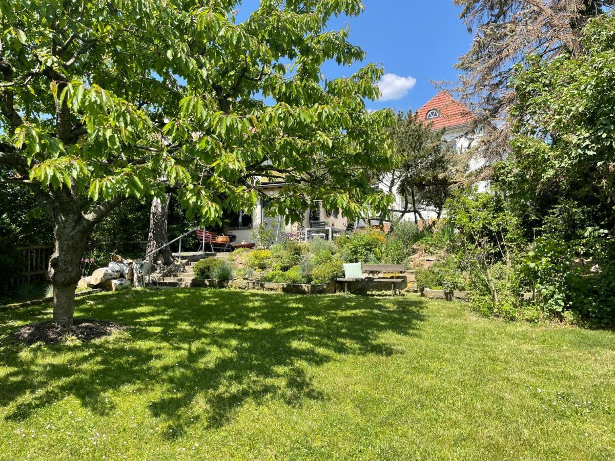 Haus Welzel Villa Dresden Exteriör bild